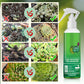 Bud Fertilizers for Succulent Plant