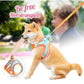 🔥HOT SALE🔥One Piece Vest Leash