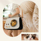 Foldable Portable Bubble Pet Bag with Breathable Mesh