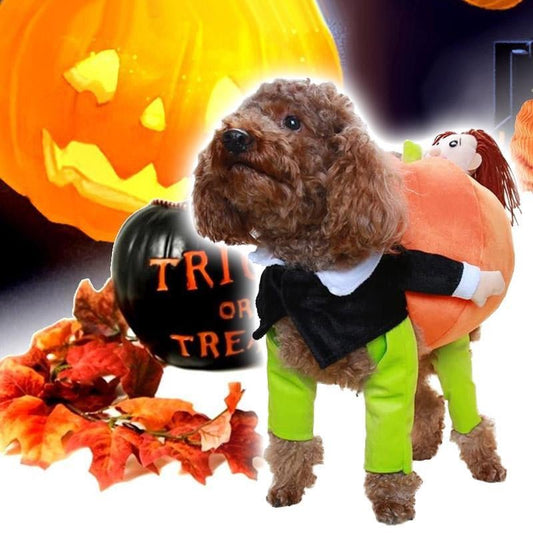 (🎃Early Halloween Promotion🎃 49% Off)Pet Dog Pumpkin Halloween Costume-Free Shipping