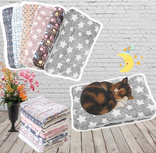 🔥Hot Sale 50% OFF - Cosy Calming Cat Blanket